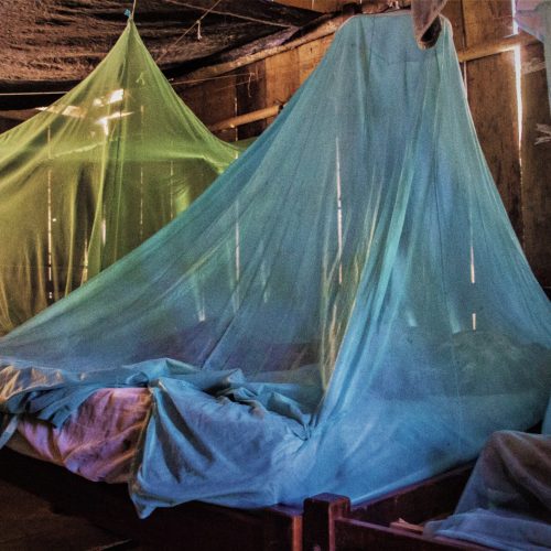 imagem colorida apresenta um dormitório com camas encobertas por um véu(mosquiteiro) para proteção contra mosquitos