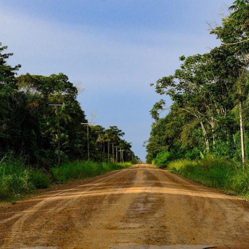 Fotografia horizontal, colorida . Ao centro da imagem uma estrada de terra em perspectiva, margeada pela floresta verde , ao fundo um céu azul.